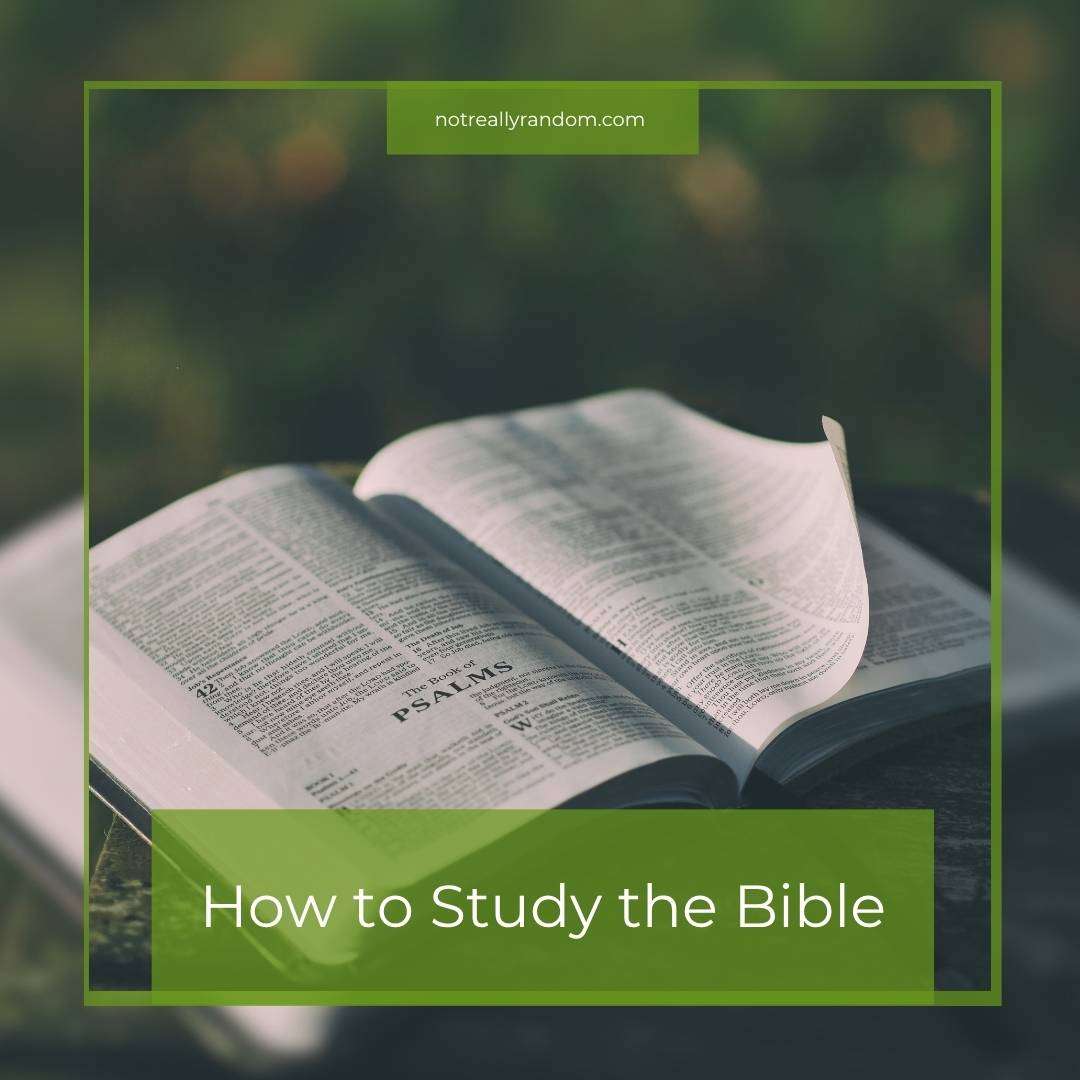 An open Bible showing a page being turned, with the title “How to Study the Bible.”