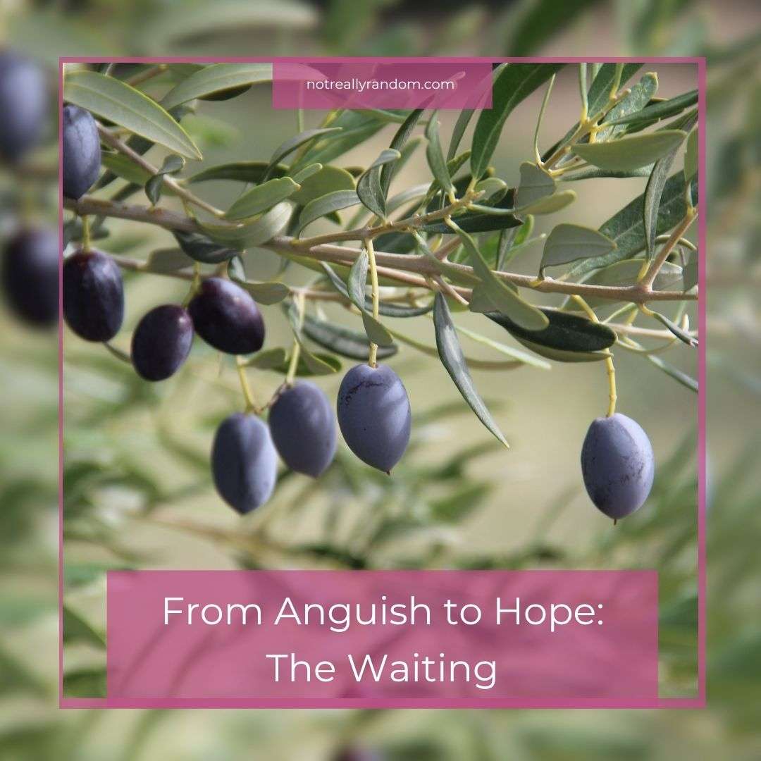 the waiting