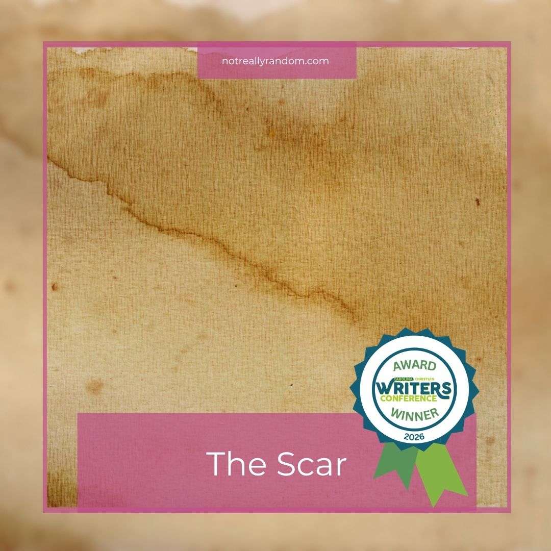 Carolina Christian Writers Conference First Place Winner - the Scar